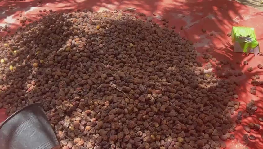 Load video: Farm videos Aligs International