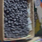 Ajwa dates video