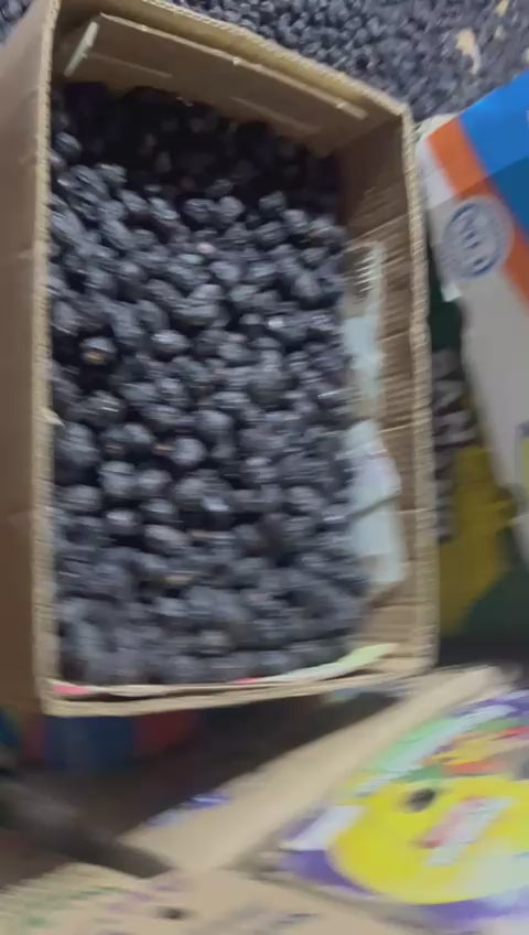 Ajwa dates video